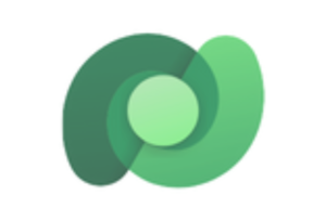 Low Code Development 12 10 1